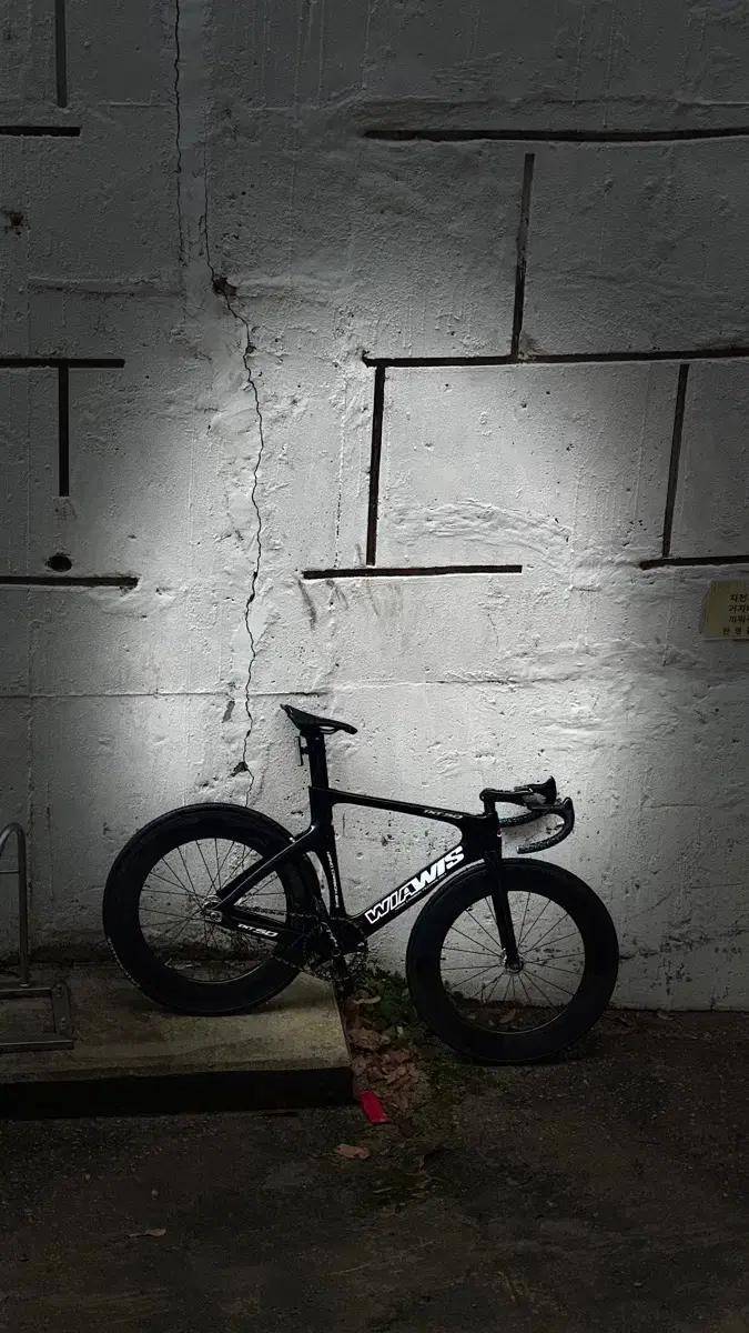 (TT차 대차선호)위아위스txtsd 완차 판/대 해요