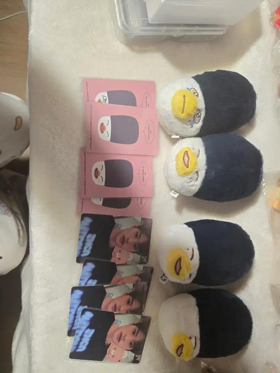 라이즈 상하이  시크릿 똘병