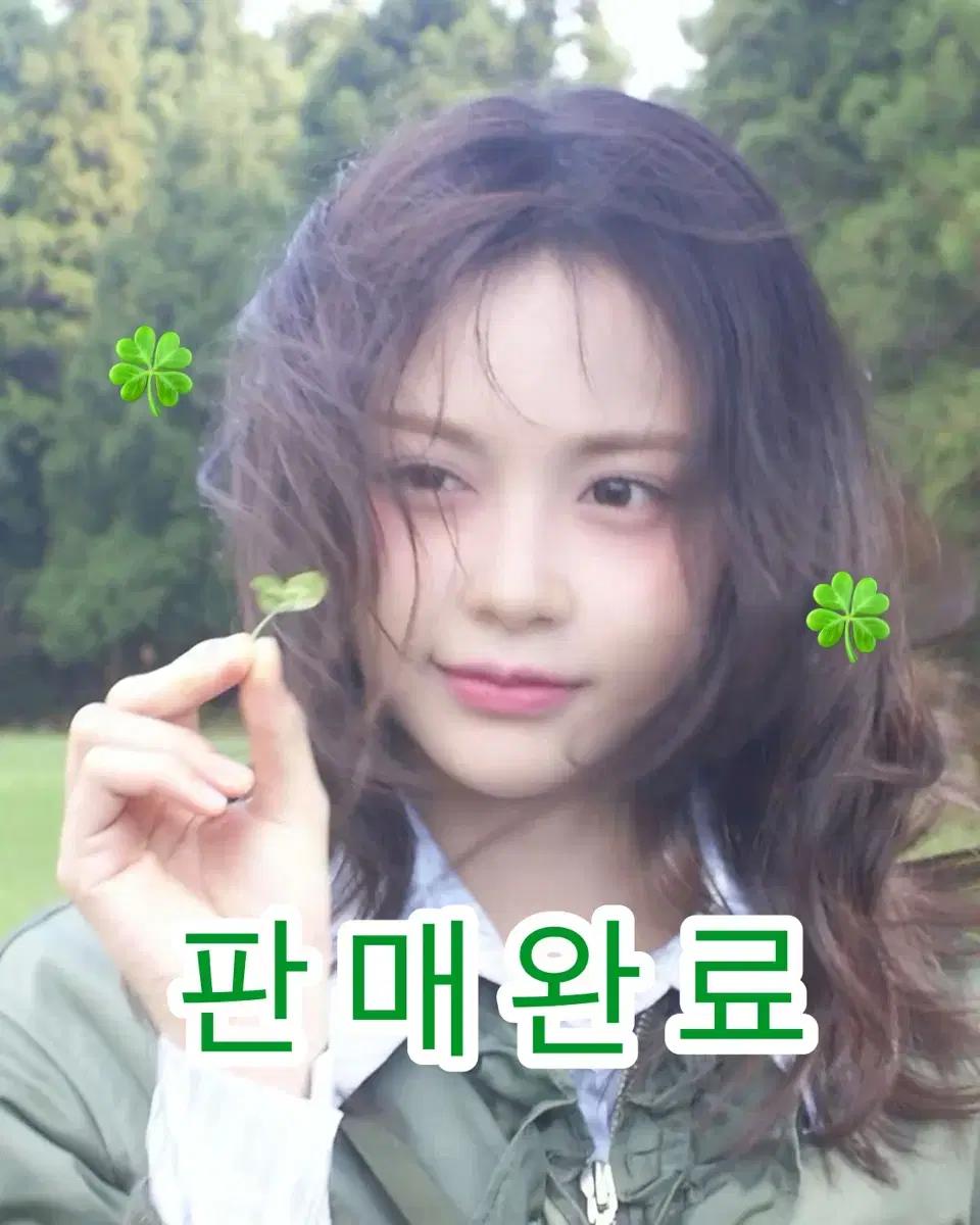 하츠투하츠 더체이스 포커스 앨범포카 일괄
