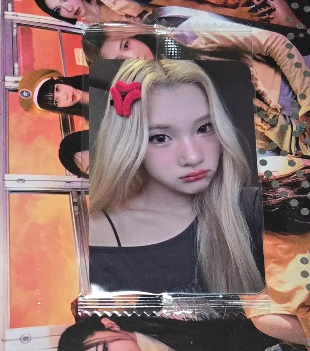 하츠투하츠 주은 케타포 앨범 포카 일괄양도