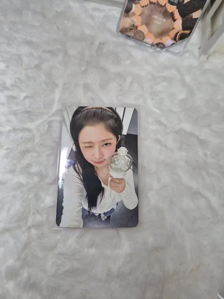 show what I am 아이브 콘서트 레이 포카