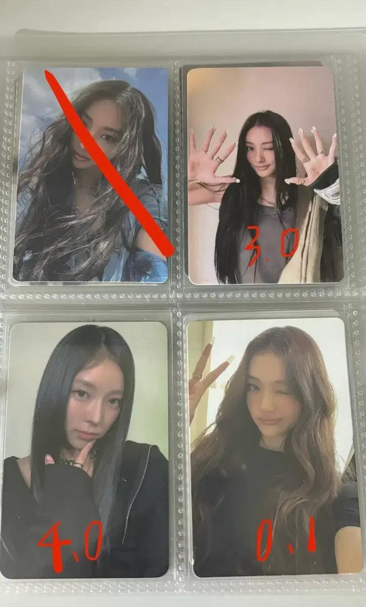미야오 가원 나린 엘라 포카 영도