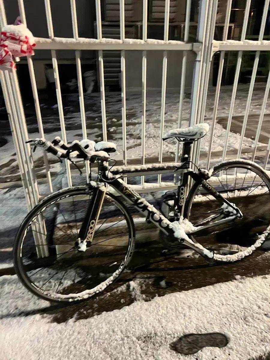 퀸타나루 Tt차 듀라에이스급 판/대