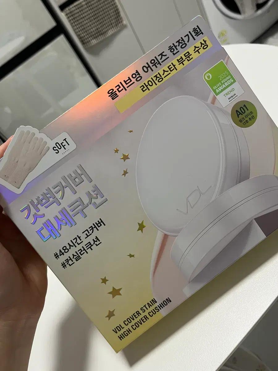 VDL 커버스테인 쿠션 A01 본품 +리필