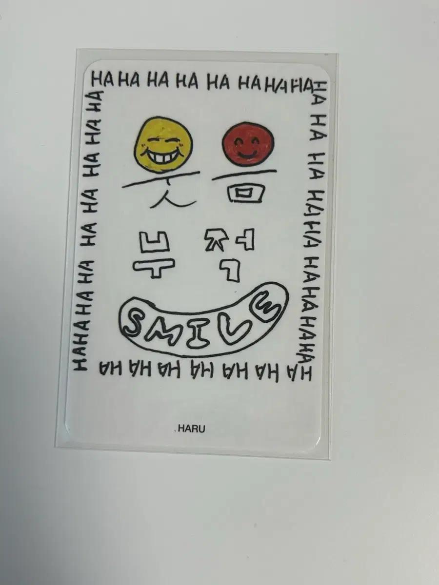 XLOV 하루