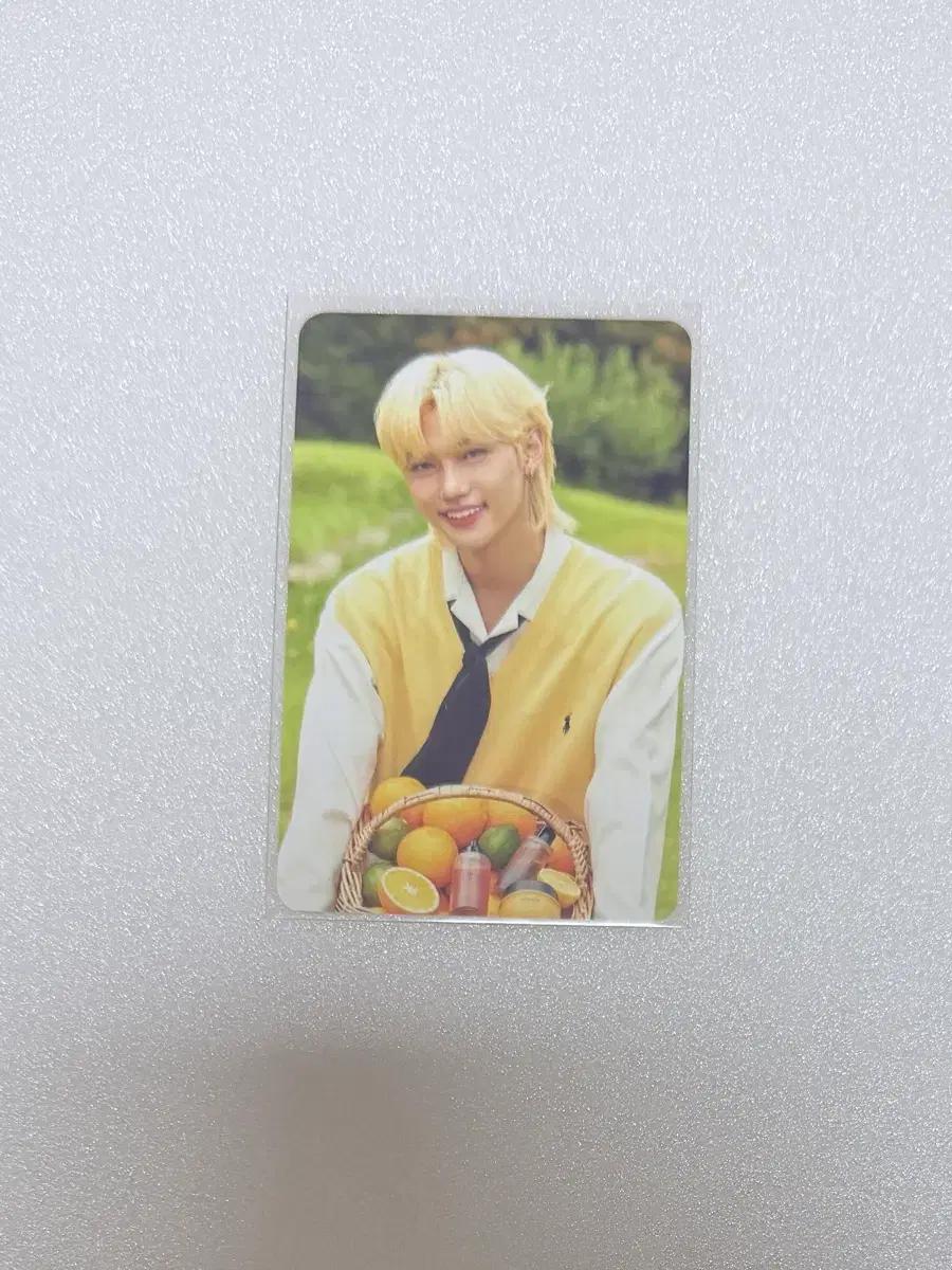 스트레이키즈 필릭스 네시픽 포토카드