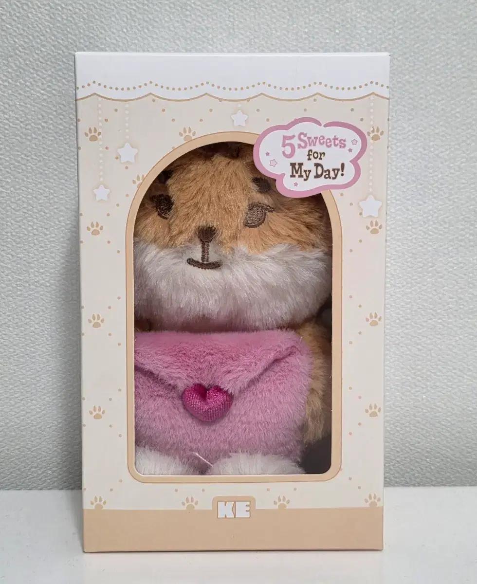 데이식스 쁘멀 보이스 영케이 (건전지 미포함)