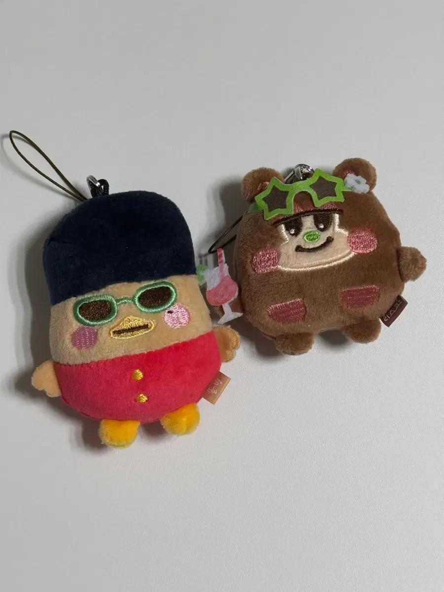 라이즈 태닝 똘병 리즈코