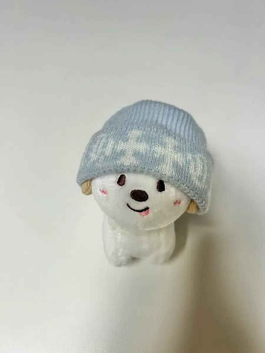 구해요) 멍룡이 크롬하츠 비니 구합니다!