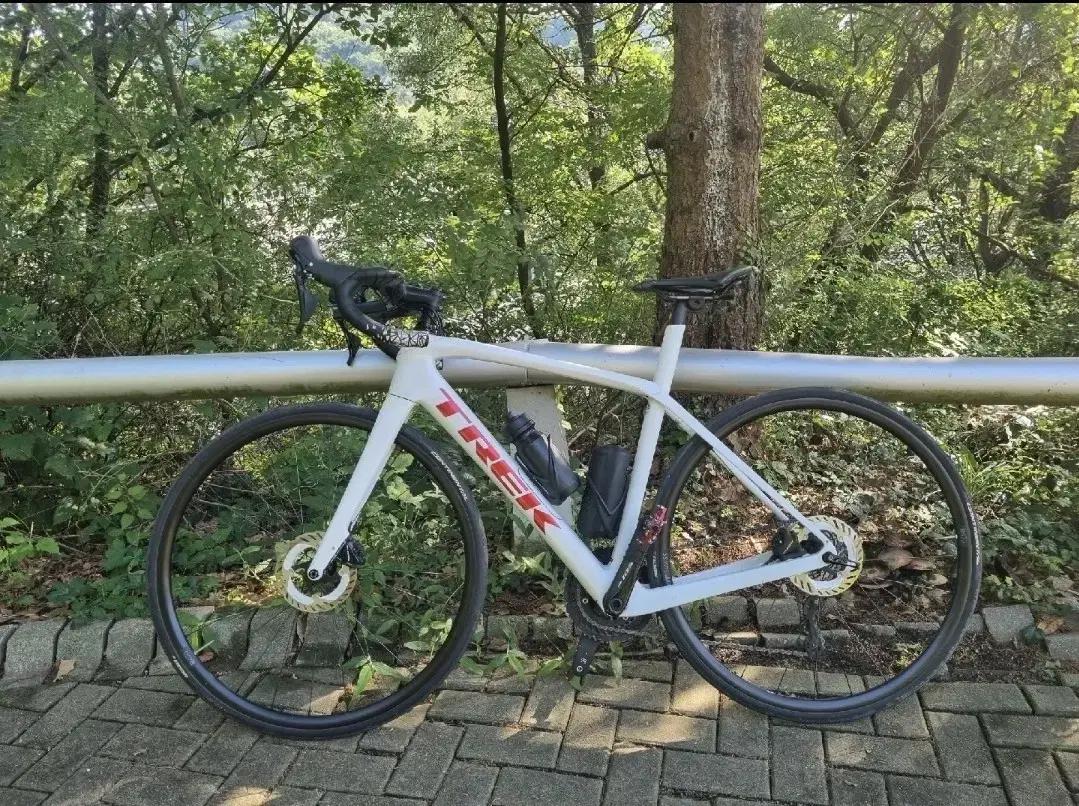 도마니 sl5 52사이즈 로드자전거 마돈 bmc 타막 엔듀런스