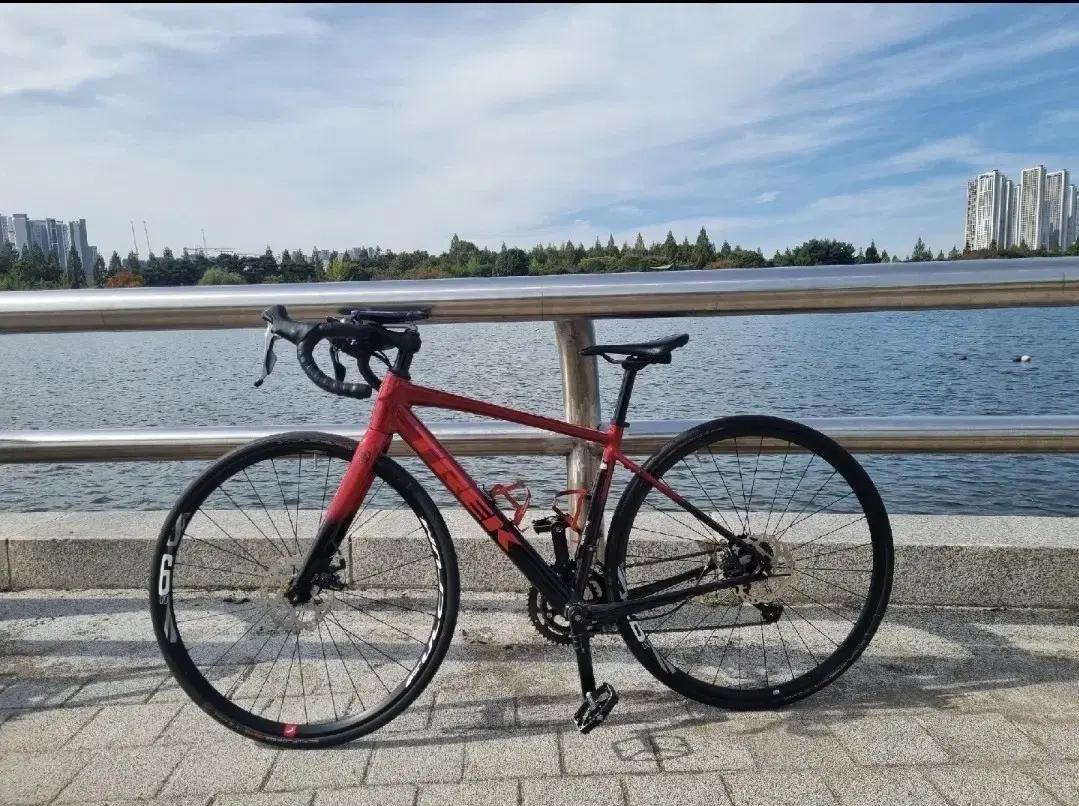 최신형 도마니 AL2 S급 로드 자전거 메리다 자이언트 bmc 타막 엔듀