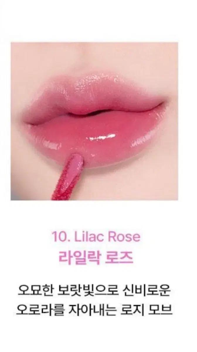 얼터너티브스테레오 립 포션 바미 로즈 10 라일락 로즈