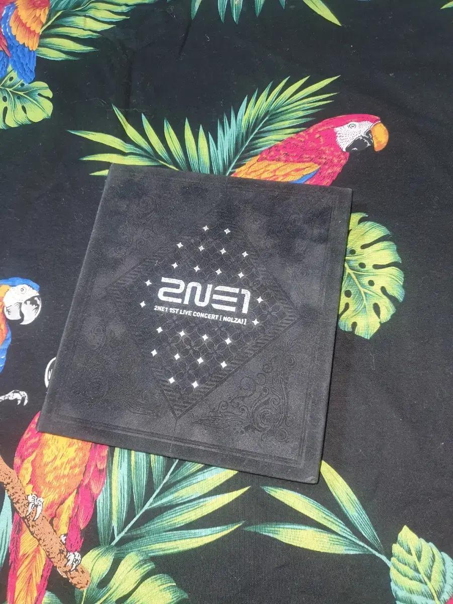 투애니원 1st live 놀자 실황 앨범 2NE1.