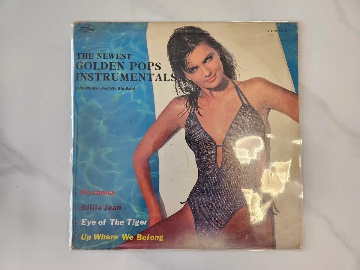The newest golden pops instrumentals Lp