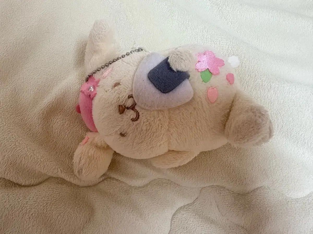 산리오 폼폼푸린 벚꽃 사쿠라