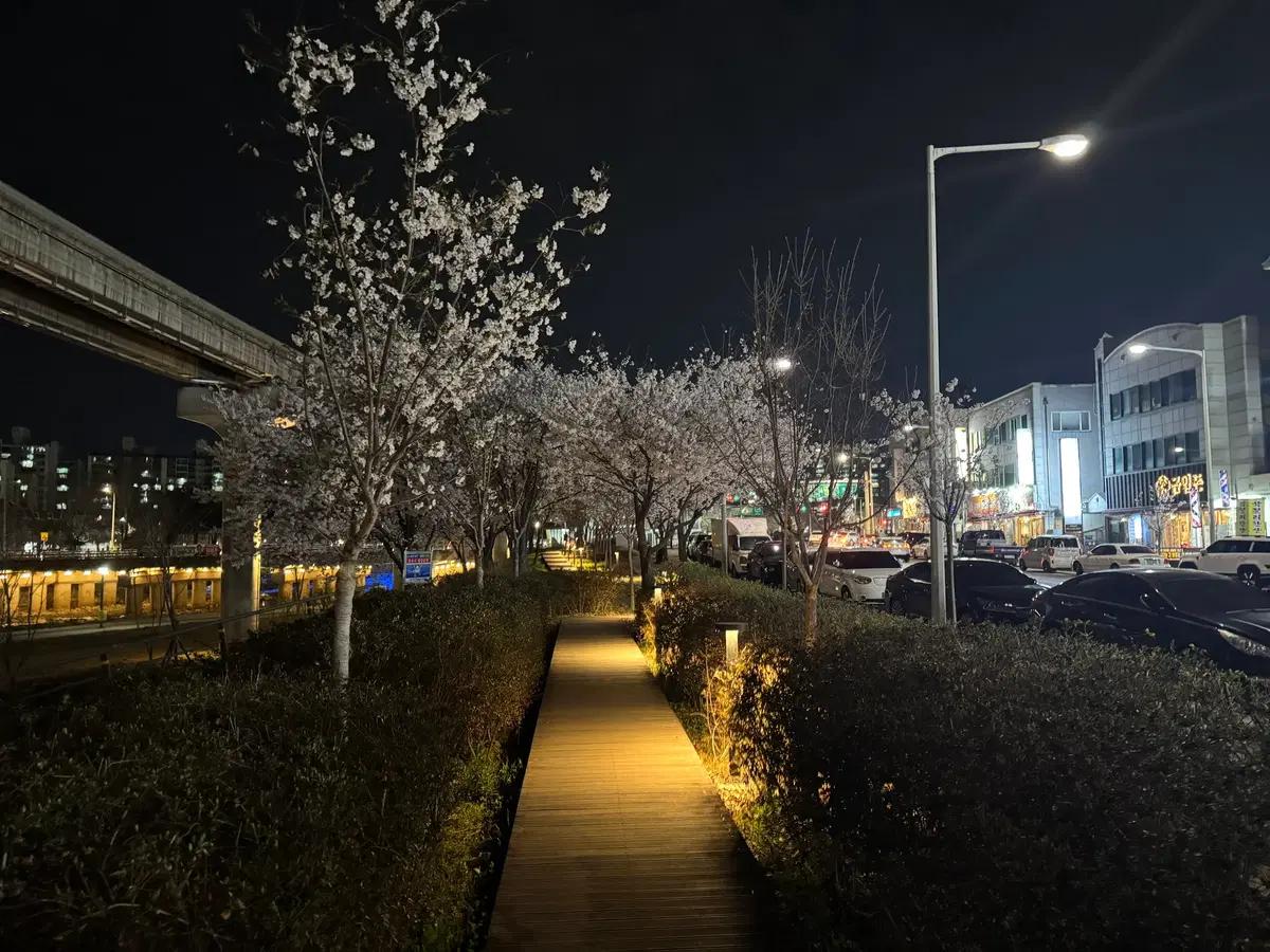 배민 80% 대리주문 구합니다 (배달의민족)