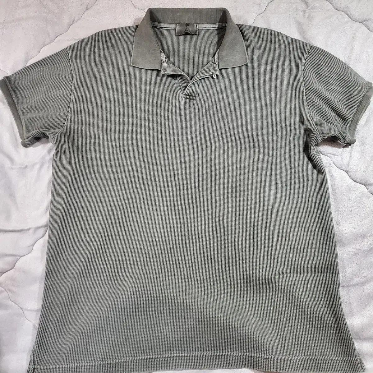 헤이스트 폴로티 (1)