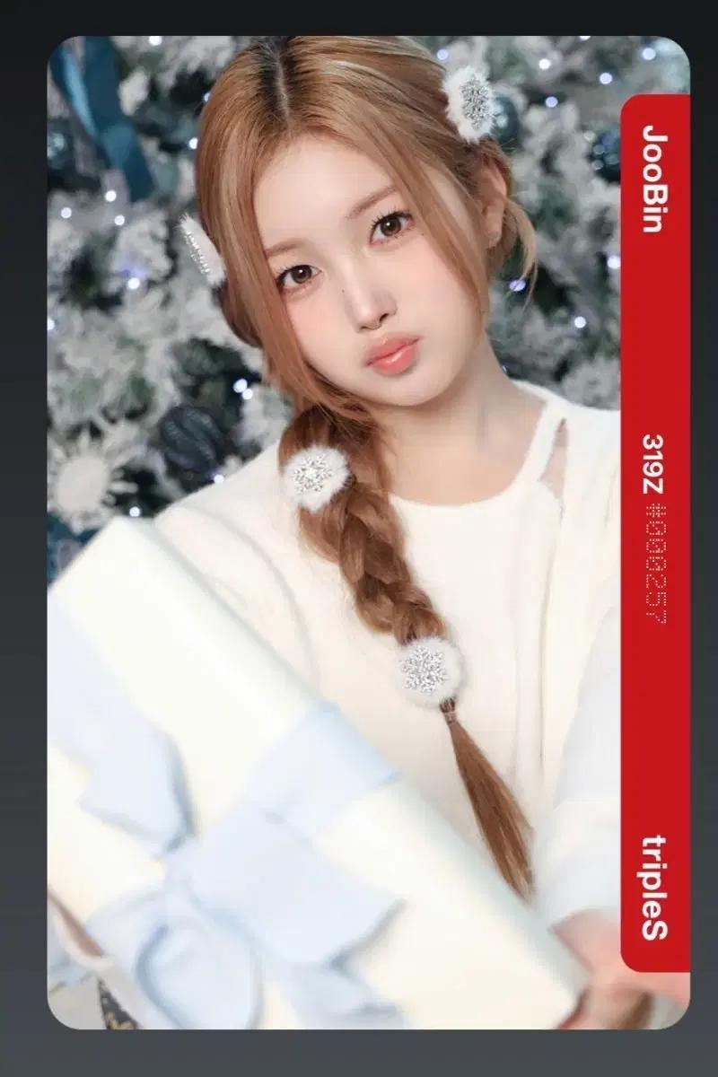 트리플에스 2025 크리스마스 주빈 오브젝트 양도 판매 319Z