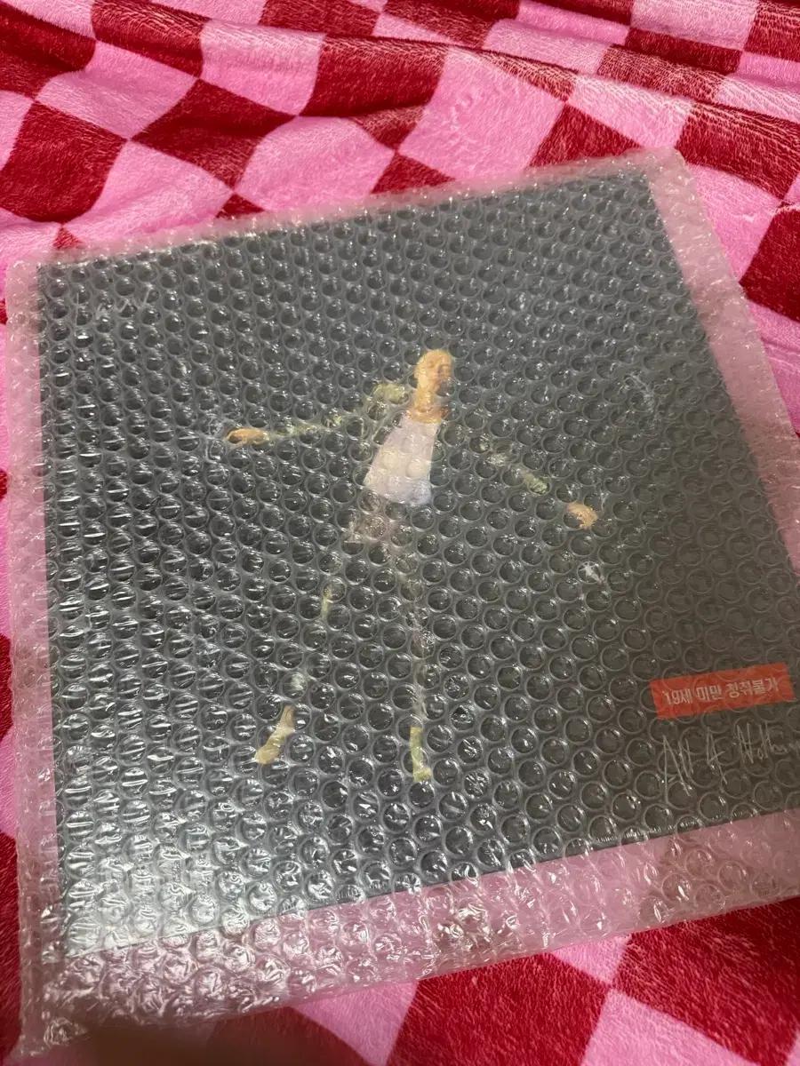 라우브 lp 미개봉 all for nothing
