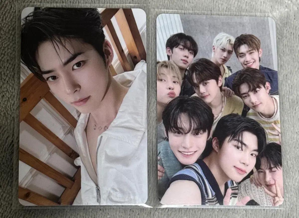 성한빈 제베원 올리브영 클린 포카 판매