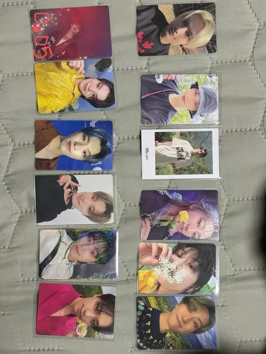 세븐틴 준,디에잇,우지,디노 포카 (급처)