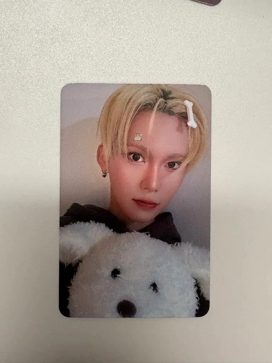 엑스러브 현 미공포 포카 강아지