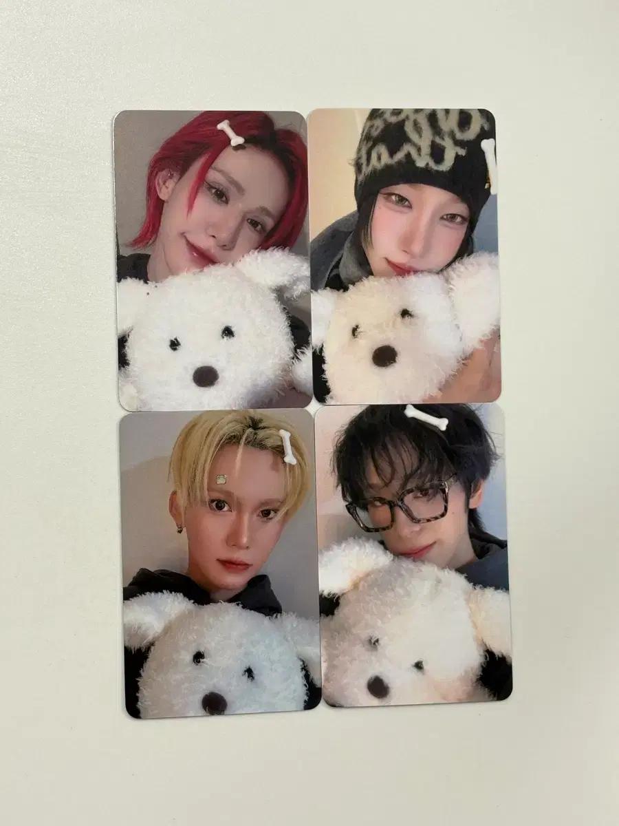 XLOV 엑스러브 미공포 포카 poca 강아지 set