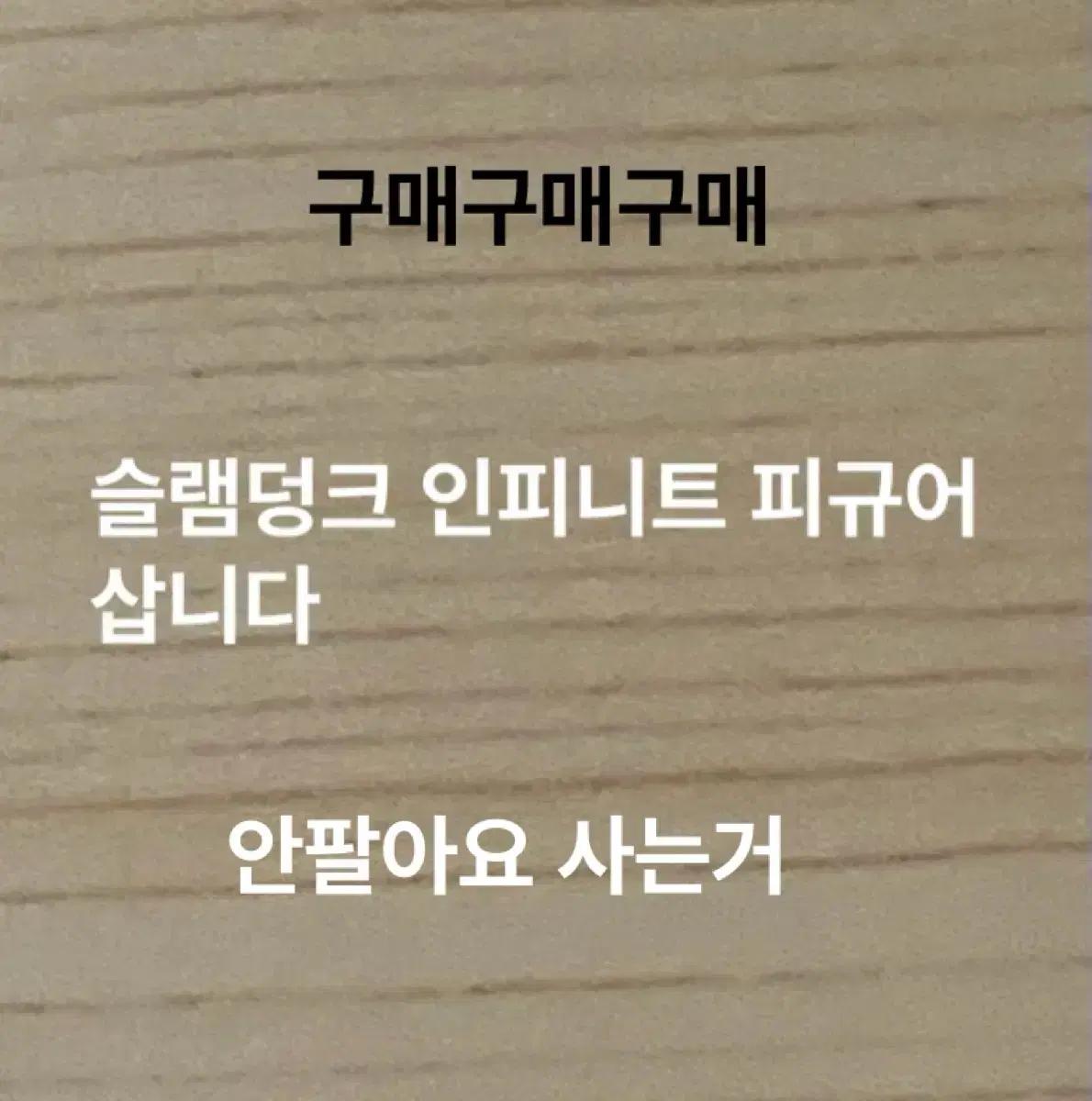 제가 구매 구매 인피니트 슬램덩크 강백호 서태웅 피규어 구매 구매