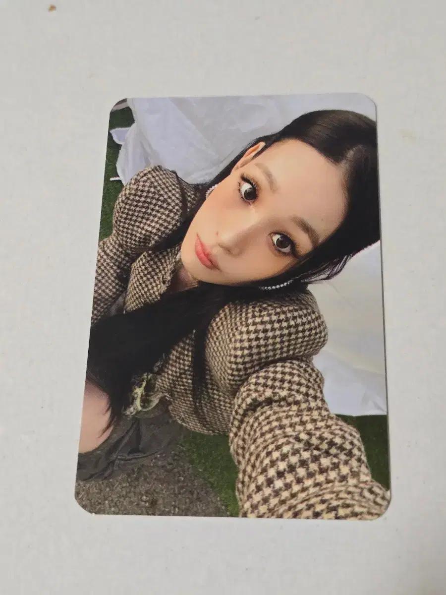 올데이프로젝트 올리브영 애니 포카