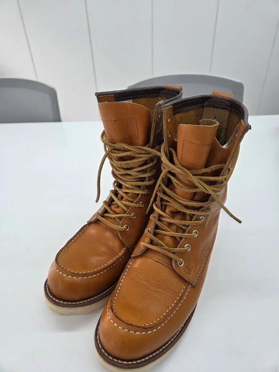 레드윙 9877 9.5d 이이리쉬세터