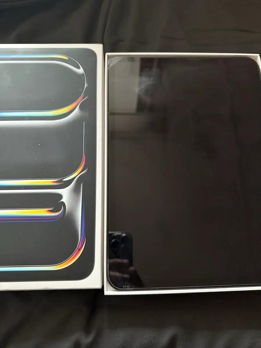 아이패드 프로11 M4 256gb