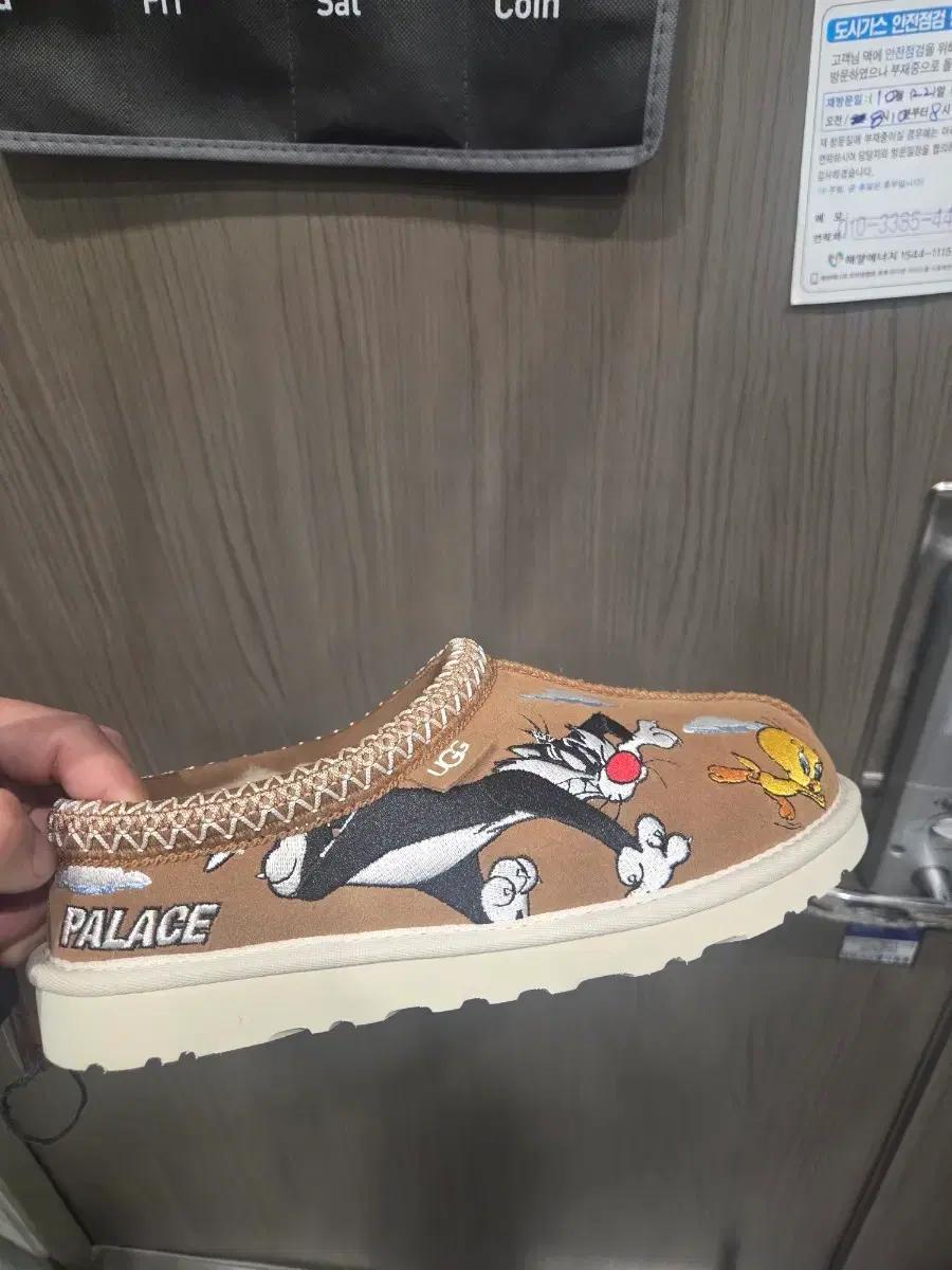 UGG 팔라스 루니툰 타스만 슬리퍼 255