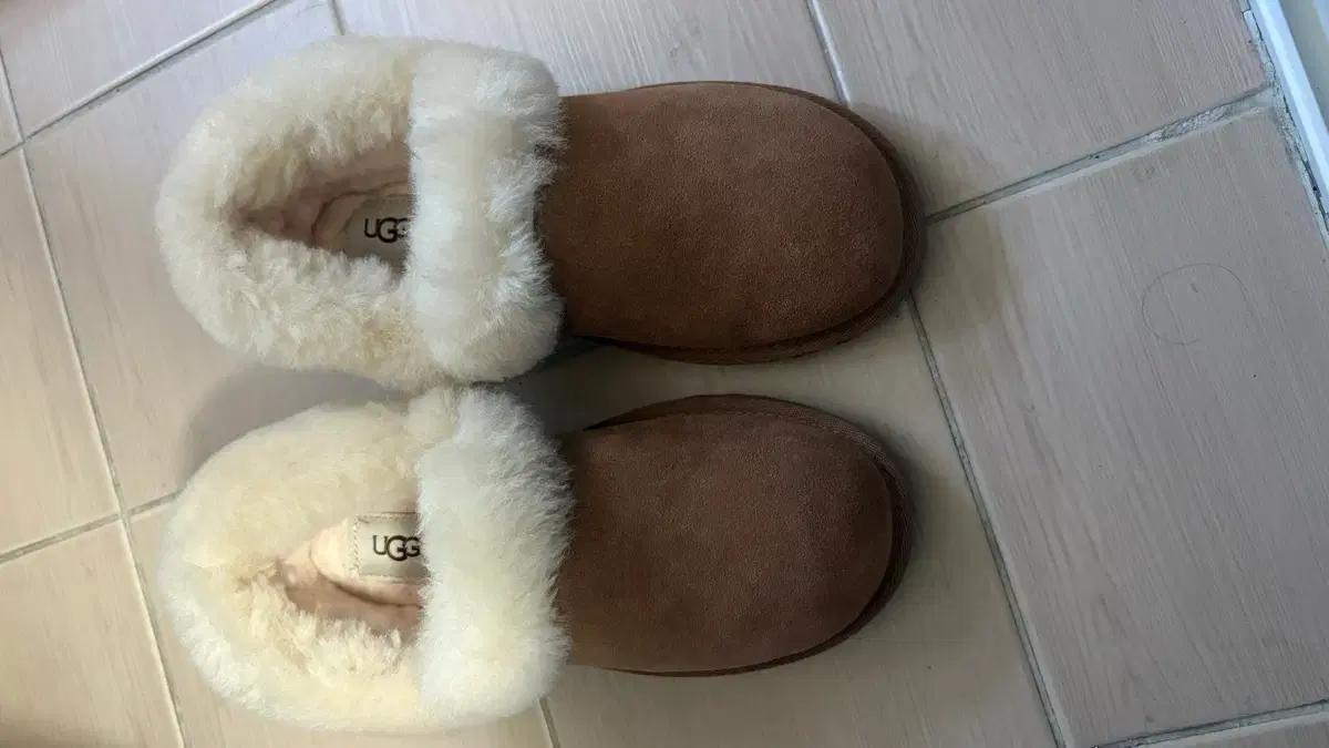 ugg 정품 어그 니타