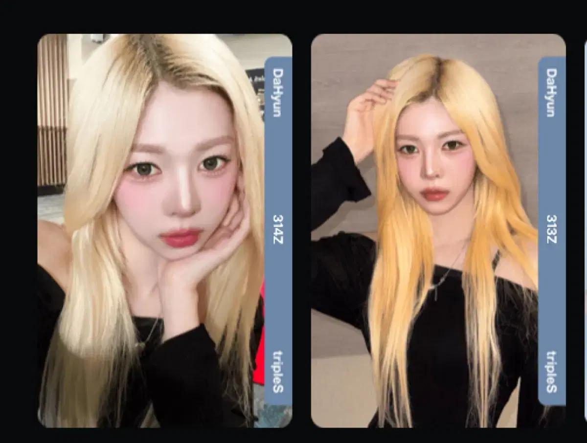 트리플에스 다현 bb313 bb314 세트 어워즈 오브젝트