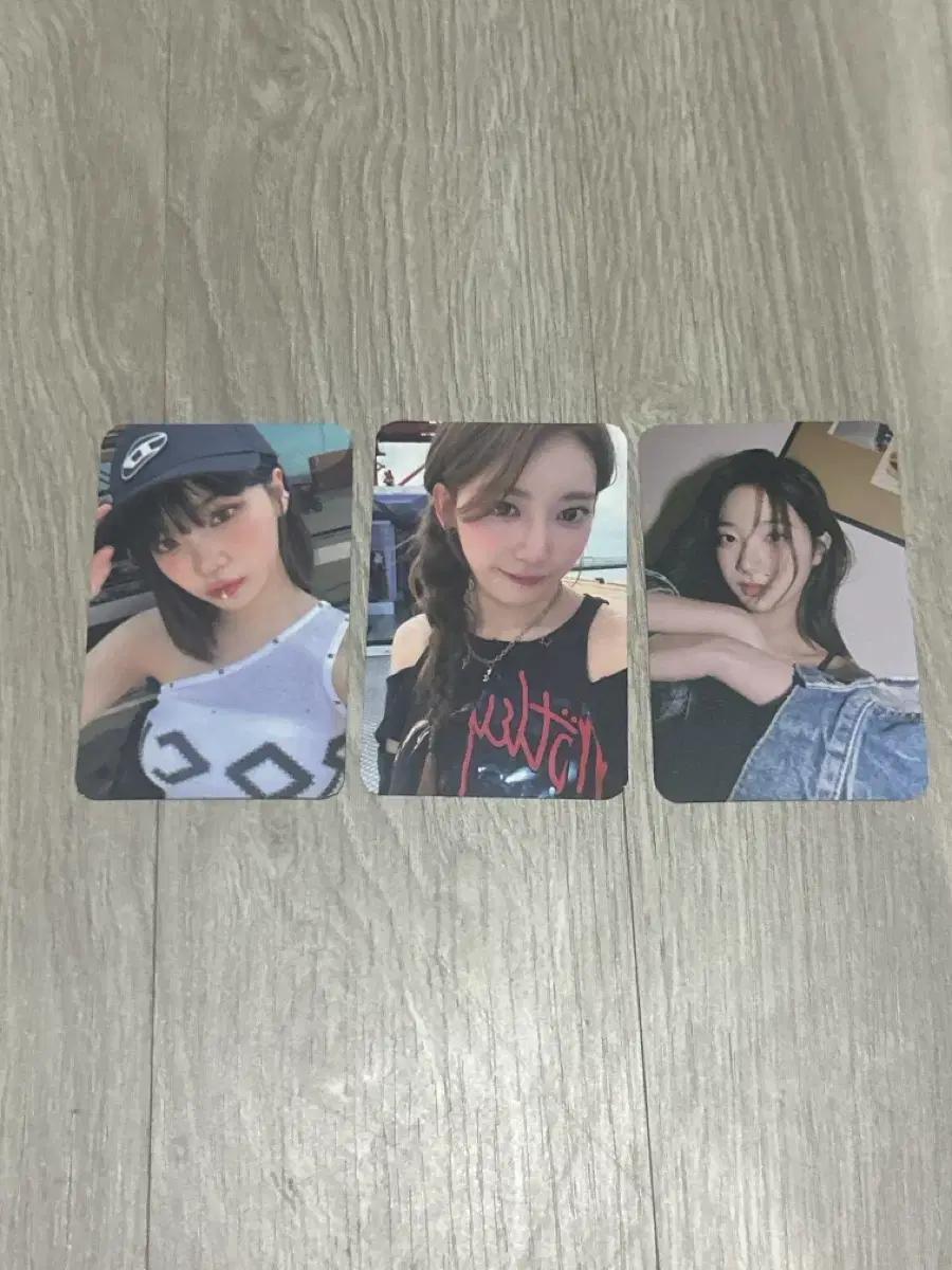 르세라핌 안티프래자일 포카 사쿠라 카즈하 채원