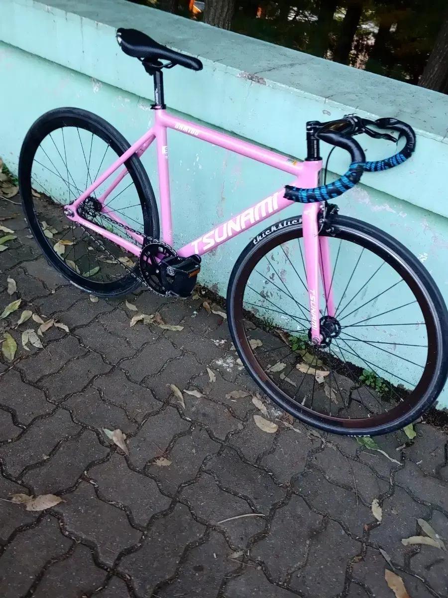 쓰나미 핑크색 급처 가격어그로X