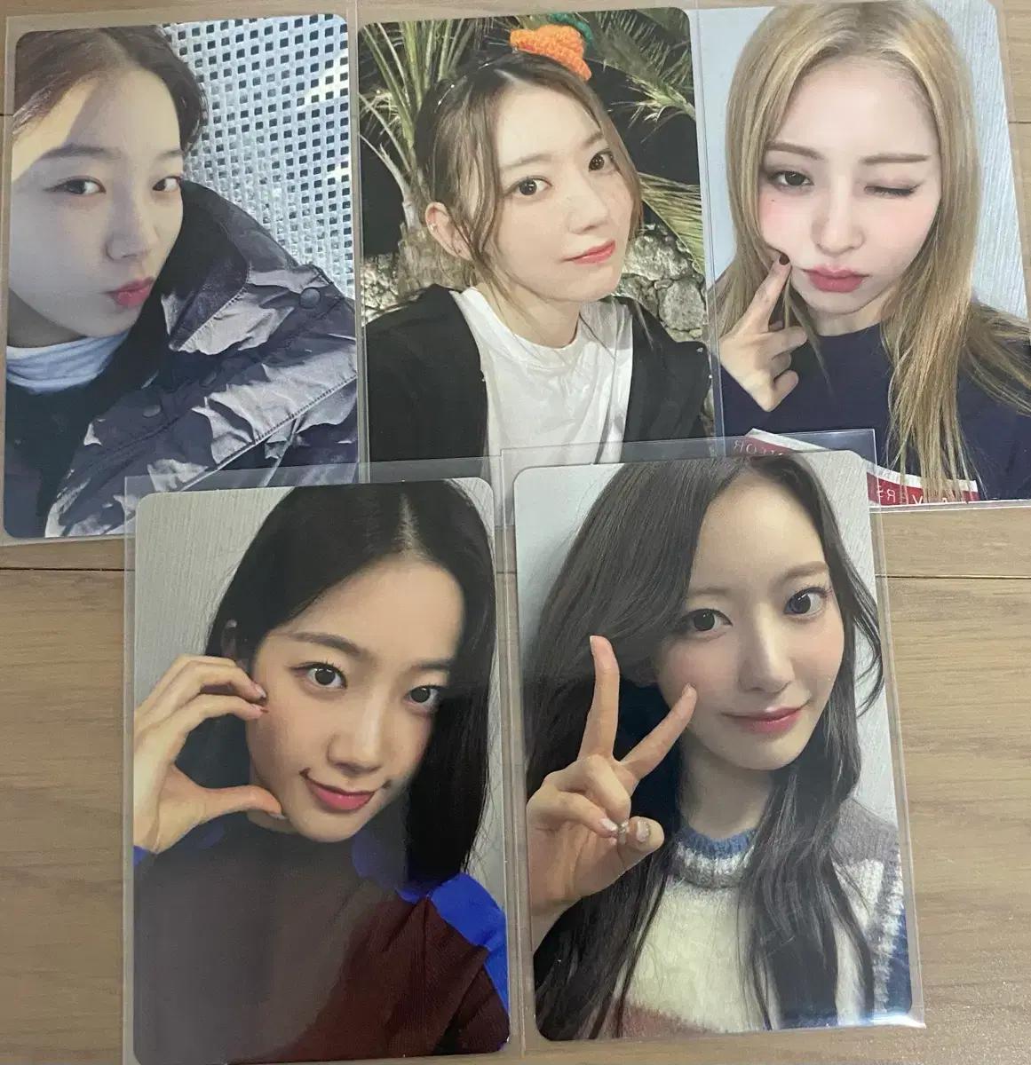 르세라핌 팬클럽 포카, 제주 포카 일괄 양도해요
