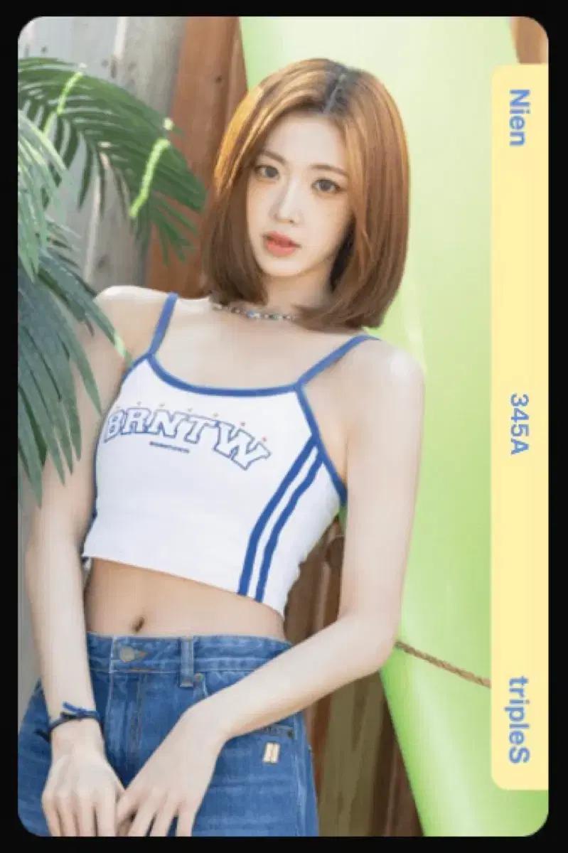트리플에스 니엔 Nien e345 오브젝트 옵젝