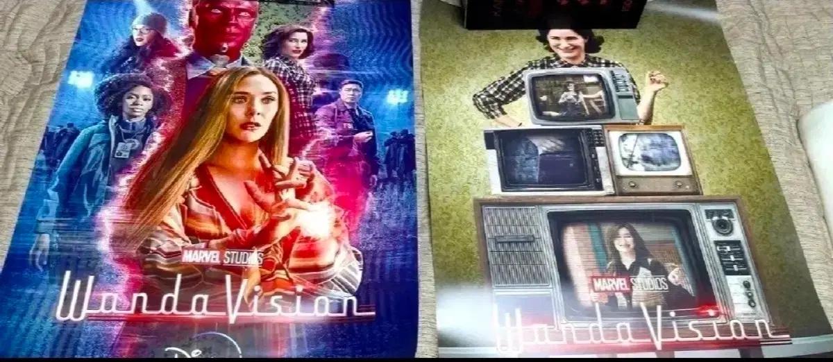 공식 완다비전 wanda vision b2 포스터 메인 케릭터 애거사