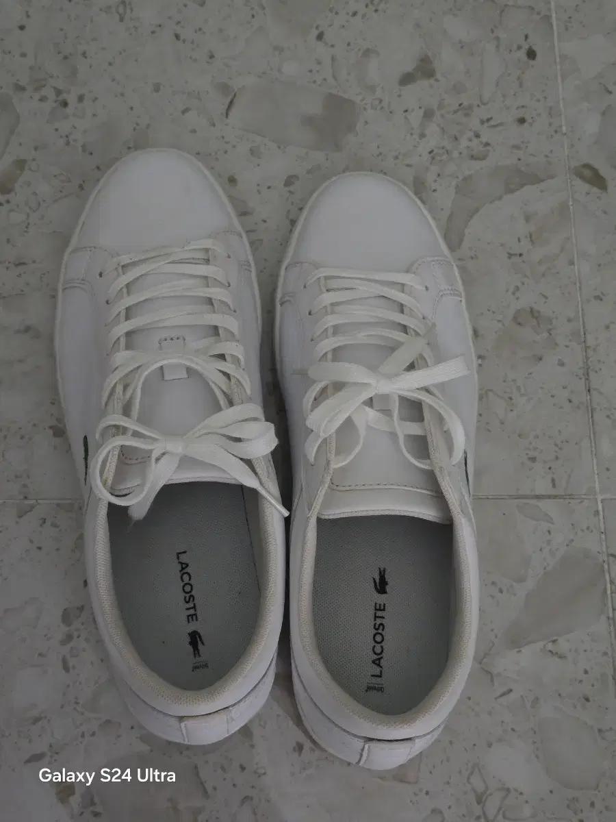 라코스테 스니커즈 280