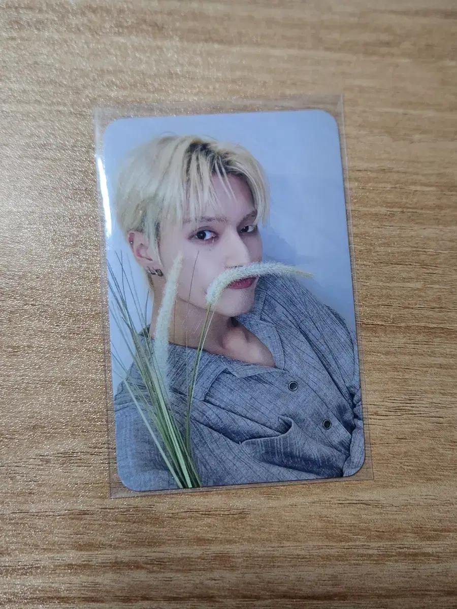 ATEEZ 에이티즈 우영 양면 포카 GOLDEN HOUR 강아지풀 디마뮤