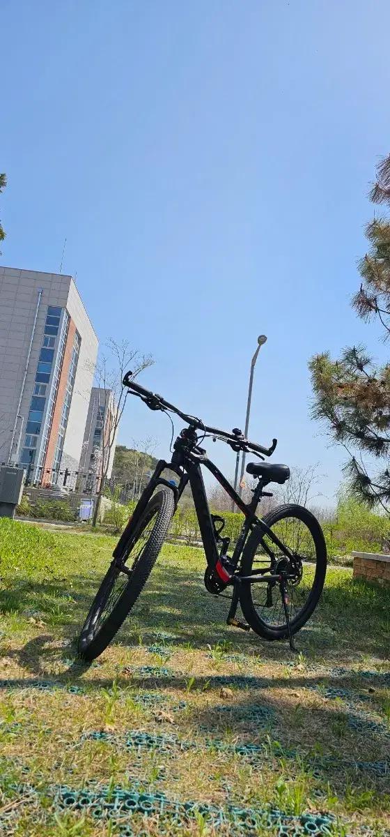 MTB자전거 판/대