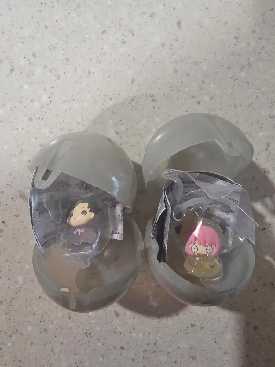스파이패밀리 아냐&다미안 메지루시 일괄
