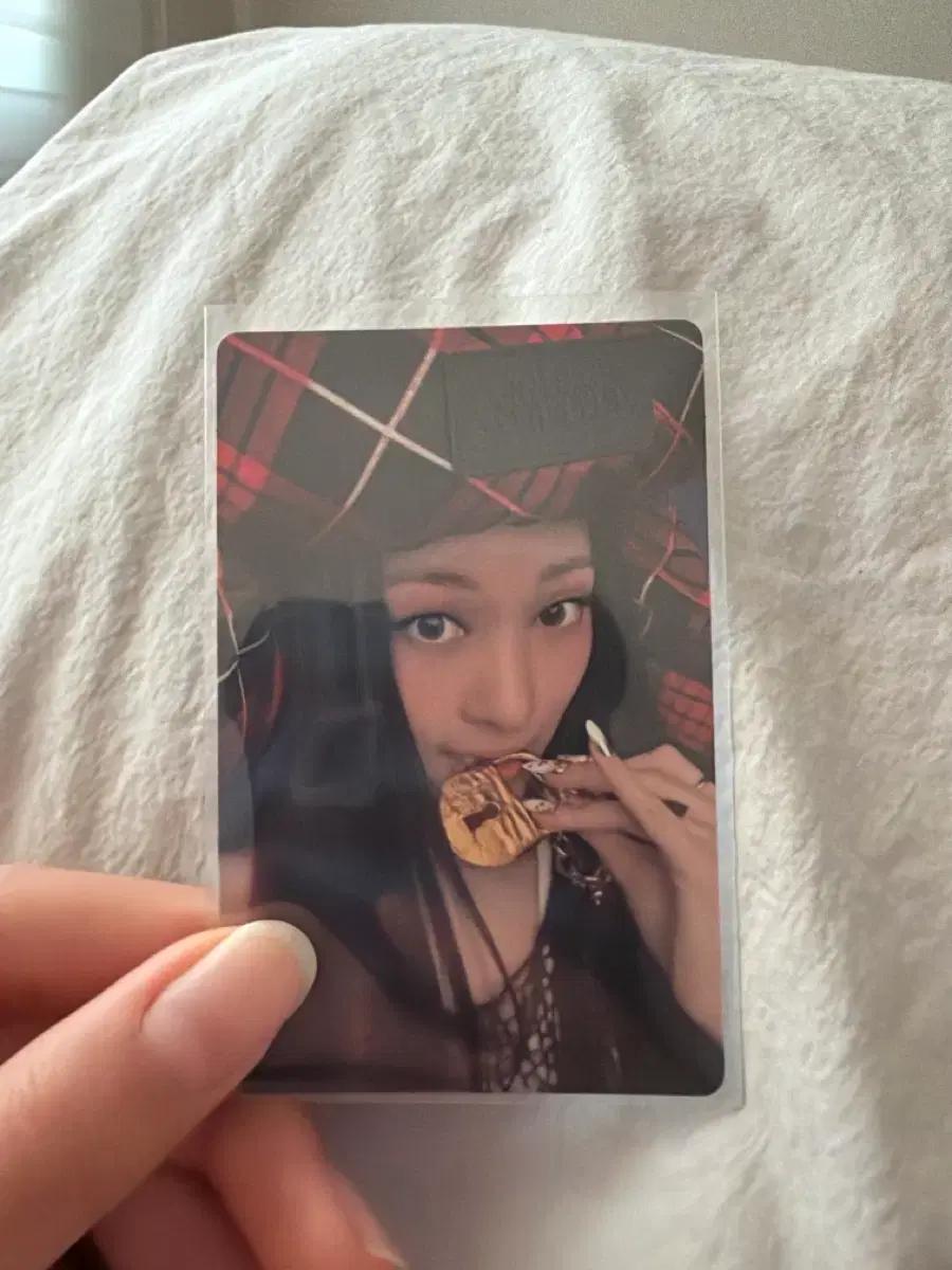 올데프 애니 포카