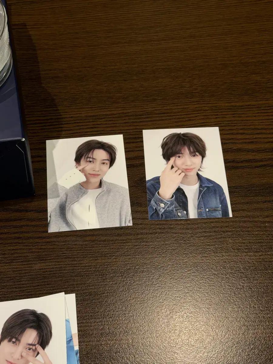 코르티스   acuvue  성현포카