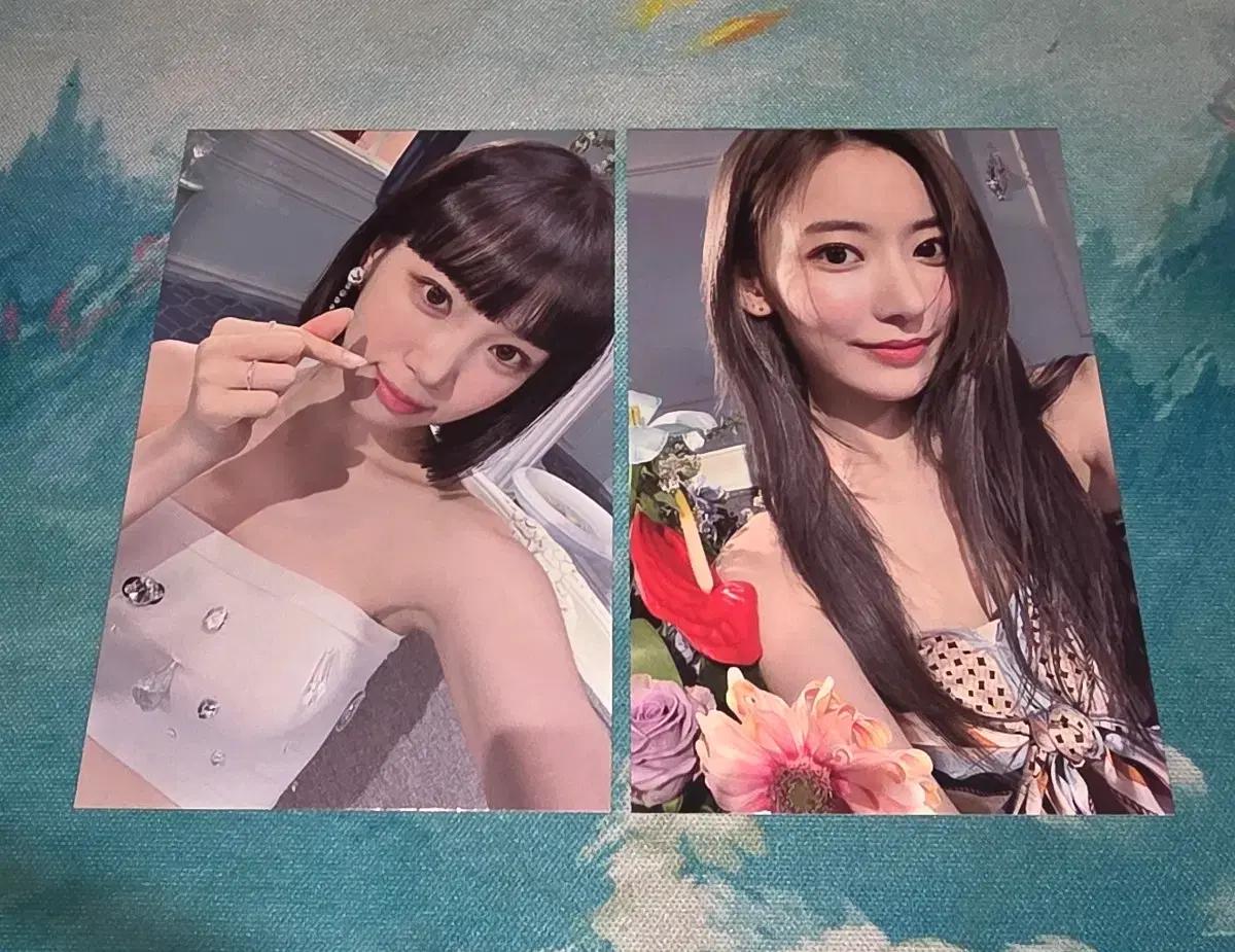 르세라핌 김채원 사쿠라 데뷔 쇼케이스 포카