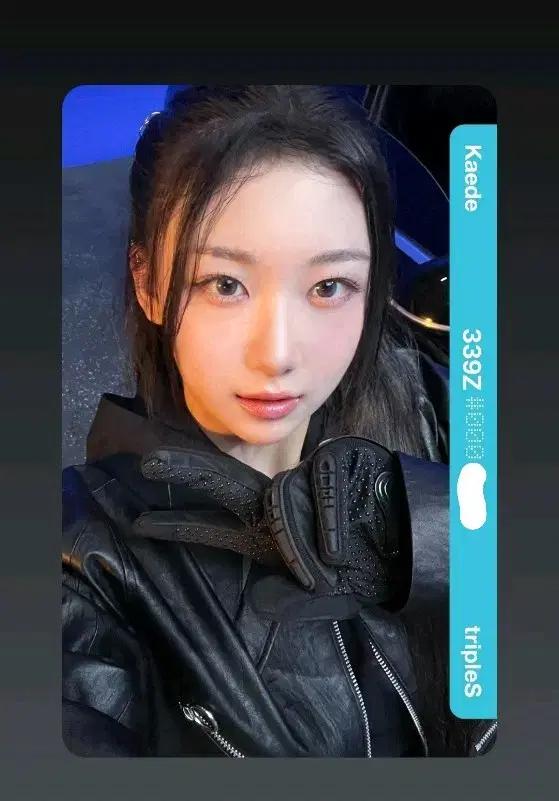 트리플에스 카에데 d339