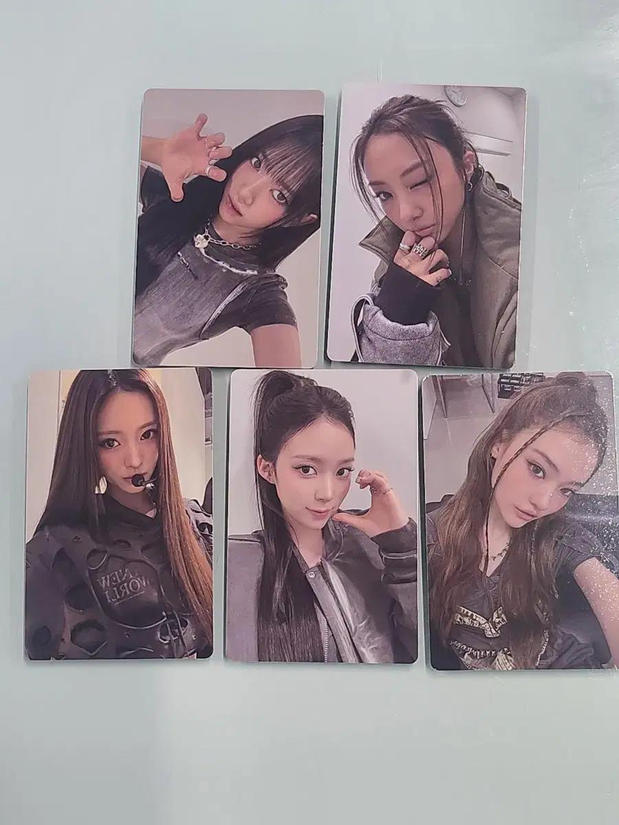 미야오 응원봉 특전 포카 수인 가원 엘라 안나 나린