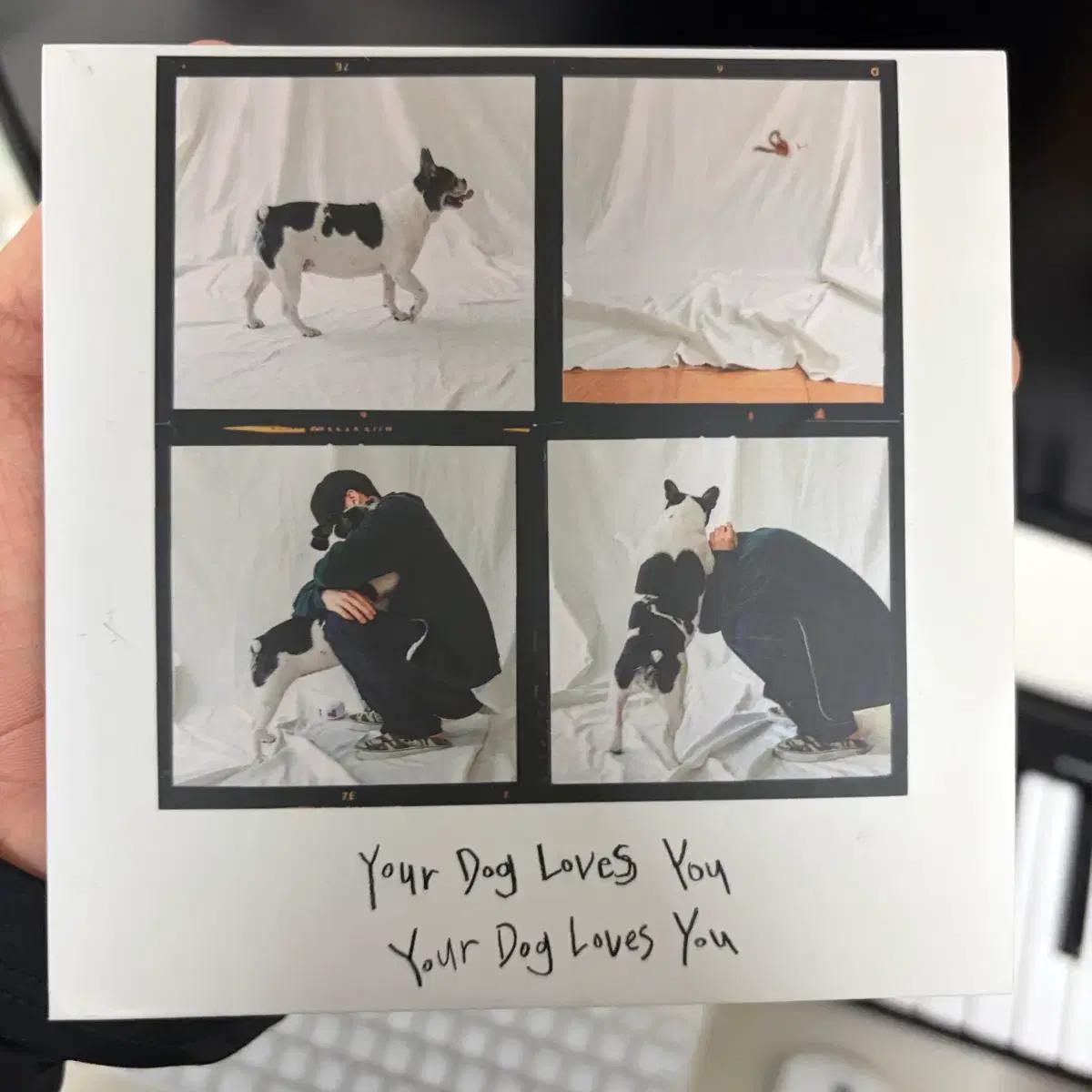 콜드 Colde Your Dog Loves You CD
