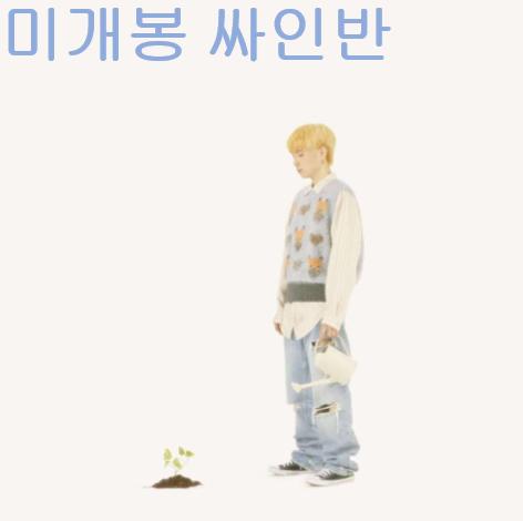 이누이 (inuii) - Scindapsus (미개봉, 싸인반, CD)